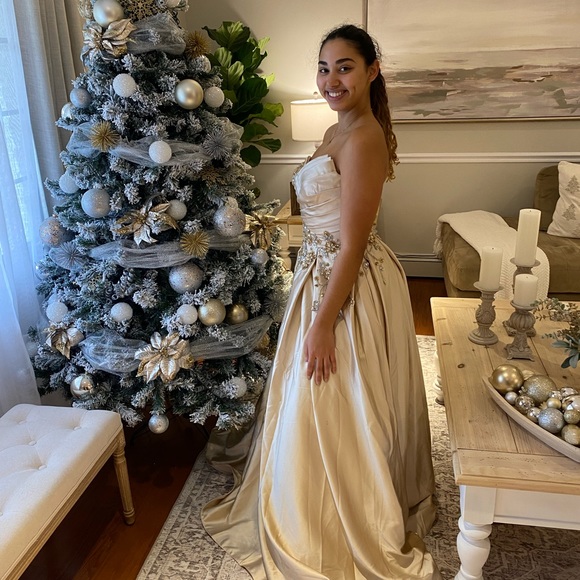 Gorgeous ball gown with pockets, beaded bodice and intricate design. Size 6 - Picture 5 of 12